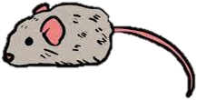 老鼠
